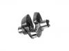 Crankshaft:51.54113.0017