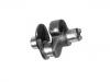 Crankshaft:403 131 10 16