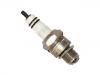 Spark Plug:101 000 018 AA