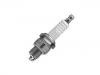 Zündkerze Spark Plug:460540