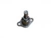 Chain Adjuster:13540-76020