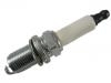 Spark Plug:NLP100320