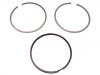 Piston Rings:71732631