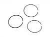 Piston Rings:LFP101360