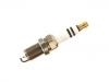 Spark Plug:06E 905 611