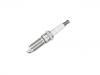 Spark Plug:1685720