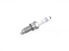 Spark Plug:04C 905 606