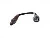 Oxygen Sensor:S550-18-8G1